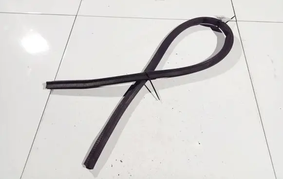 Opel Insignia A Rubber seal front coupe door 