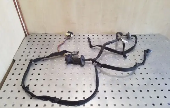 Rear door wiring loom