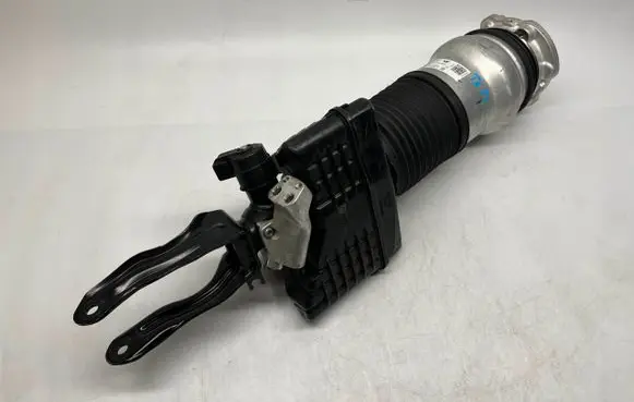 Porsche Panamera (970) Front air suspension shock absorber 976616038L