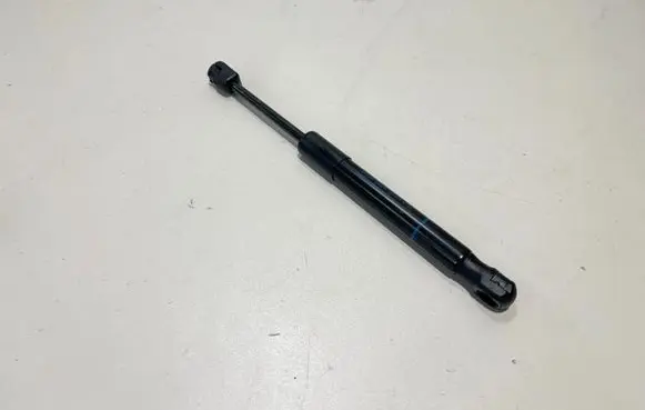 BMW X6 G06 Front bonnet/hood damper/strut 7418188