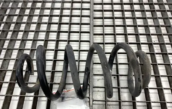 Rear coil spring