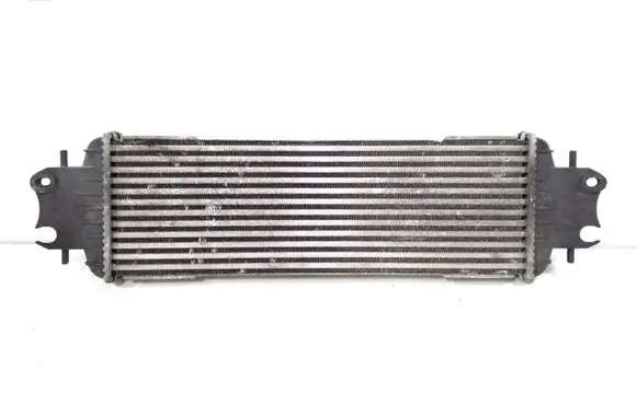 Renault Trafic II (X83) Intercooler radiator 7700312903