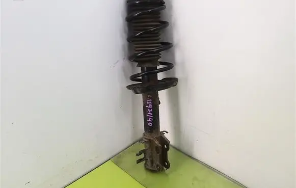 Fiat Grande Punto Front shock absorber with coil spring 3348003