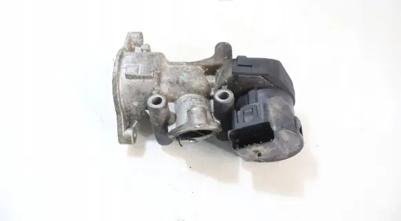 Volvo S40 EGR valve