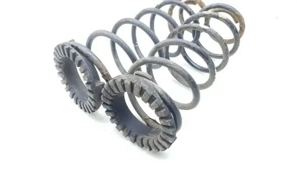 Rear coil spring