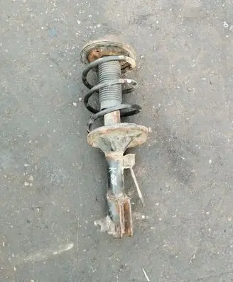 Hyundai Santa Fe Front shock absorber with coil spring