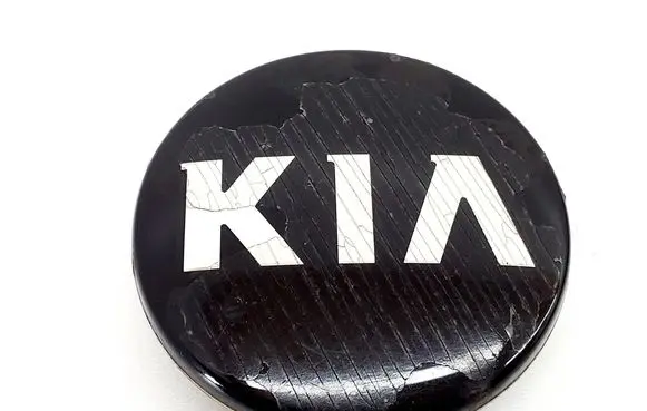 KIA Sportage R20 wheel hub/cap/trim 529602T500 529604C700