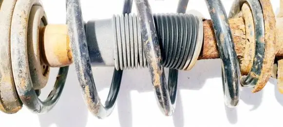 Front coil spring