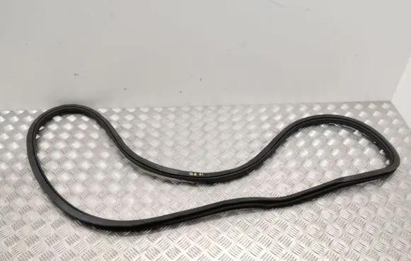 BMW iX Front door rubber seal 8491416