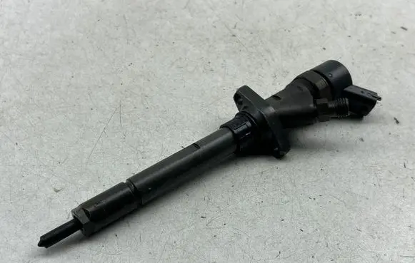 Peugeot 607 Fuel injector 0445110036