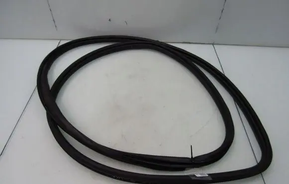 Honda Civic X Front door rubber seal 