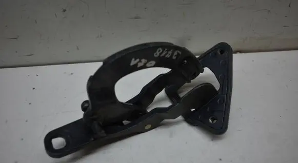 Tailgate/trunk/boot hinge