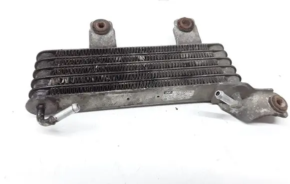 Hyundai Santa Fe Power steering radiator 2546026510