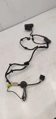Volkswagen PASSAT B6 Front door wiring loom 3C1971120T