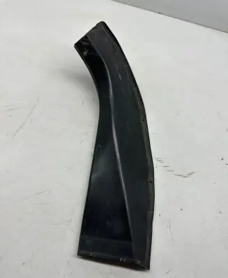 Rear/tail light trim molding