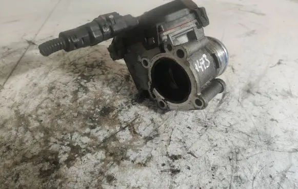 Citroen C4 Cactus Throttle body valve 9807238580 35052013 V29039645