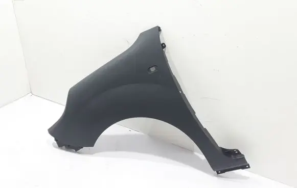 Renault Kangoo II Fender 631015870R