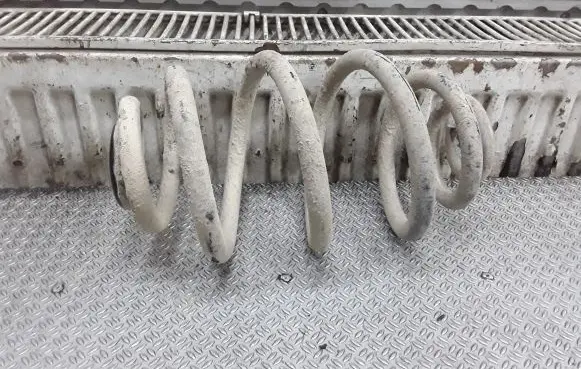 Volkswagen PASSAT B5.5 Rear coil spring