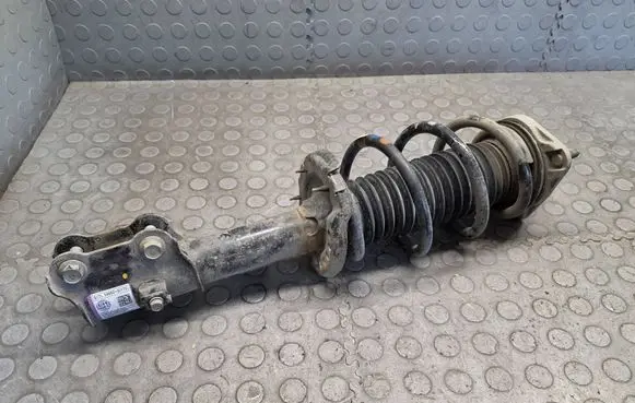 Hyundai Ioniq 5 Front shock absorber with coil spring 54650GI170