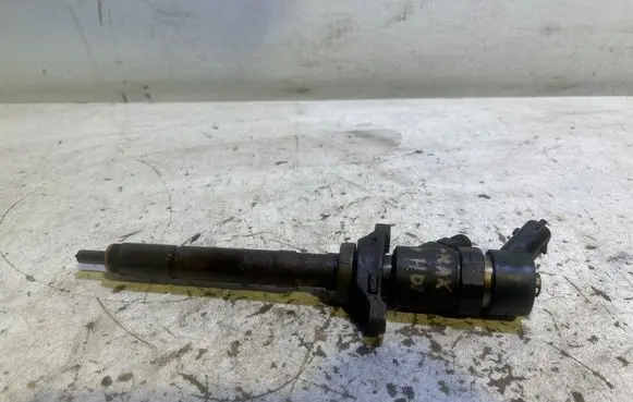 Ford C-MAX I Fuel injector 0445110188