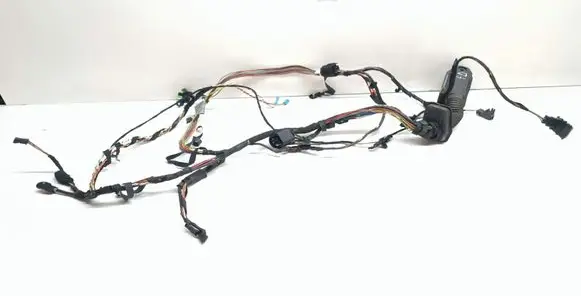 BMW X5 E70 Front door wiring loom 6900923