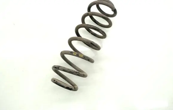 Volkswagen Tiguan Rear coil spring 