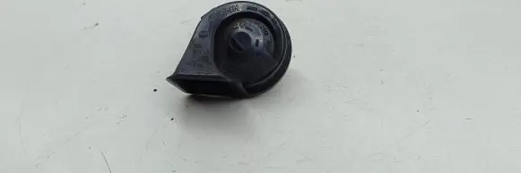 Horn signal