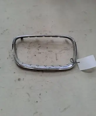BMW X5 E53 Front grill 51138402646