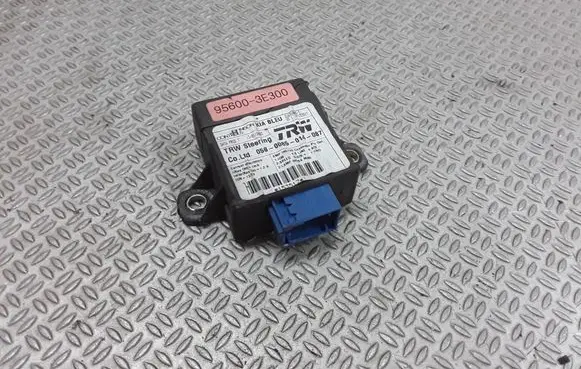 KIA Sorento Other control units/modules 956003E300