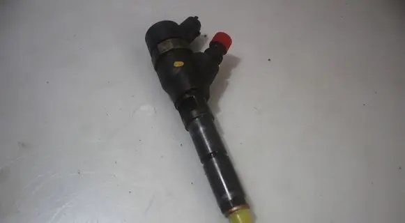 Citroen C5 Fuel injector 0445110076