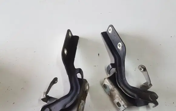 Nissan Juke I F15 Engine bonnet/hood hinges 