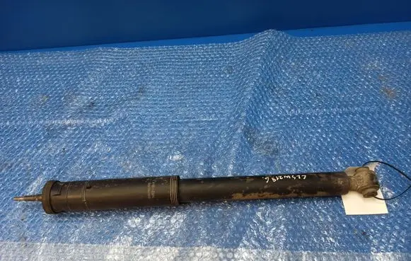 Mercedes-Benz CLS C219 Rear shock absorber/damper A2193260200