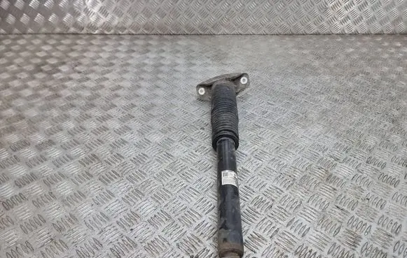 Rear shock absorber/damper