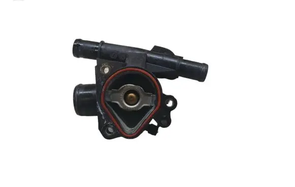 Thermostat/thermostat housing