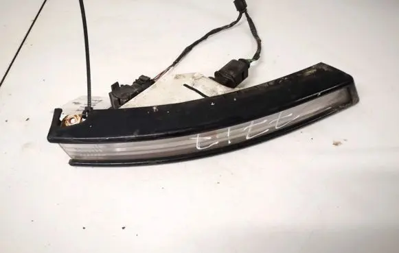 Volkswagen PASSAT B6 Front indicator light 4113fee