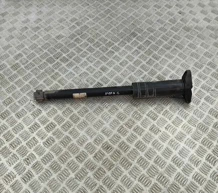 Alfa Romeo Stelvio Rear shock absorber/damper 50559657