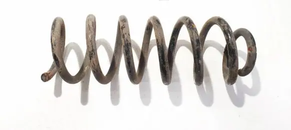Rear coil spring