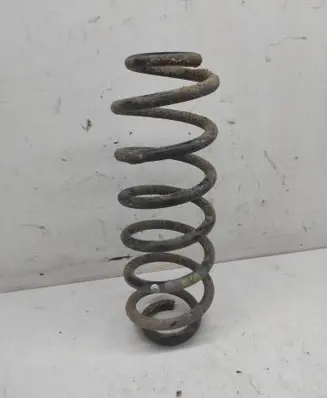 Volkswagen PASSAT B6 Rear coil spring