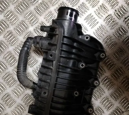 Ford Focus Intake manifold 1047092S01