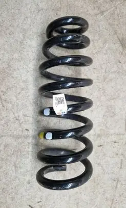KIA EV6 Rear coil spring 55330GIAD0