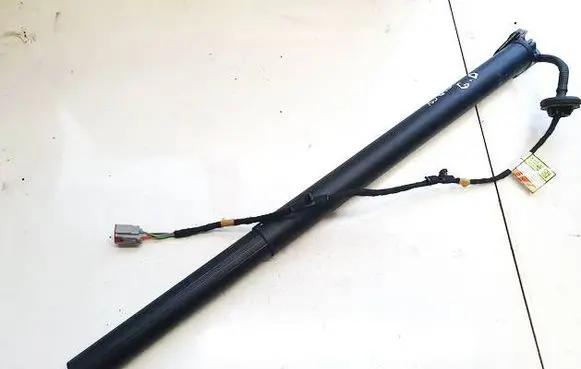 Tailgate/trunk strut/damper