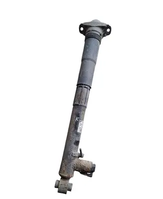 Rear shock absorber/damper