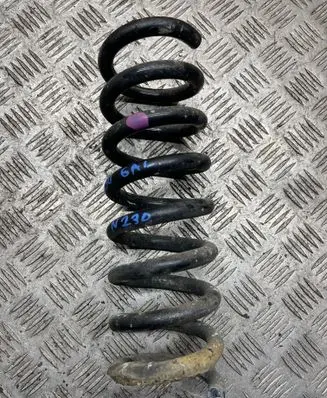 Rear coil spring