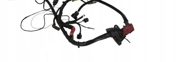 Audi A6 C7 Other wiring loom 4G1971228AS