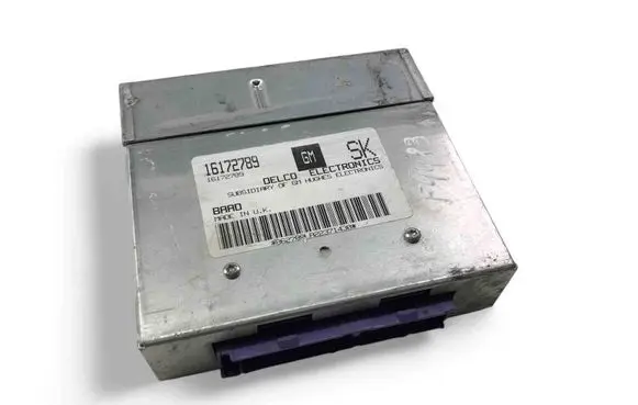 Engine control unit/module ECU