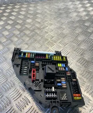 BMW X3 F25 Fuse module 1670499
