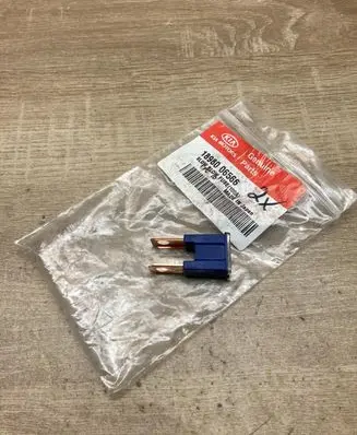 Hyundai Santa Fe Fuse 1898006566 100A