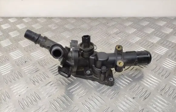 Thermostat/thermostat housing