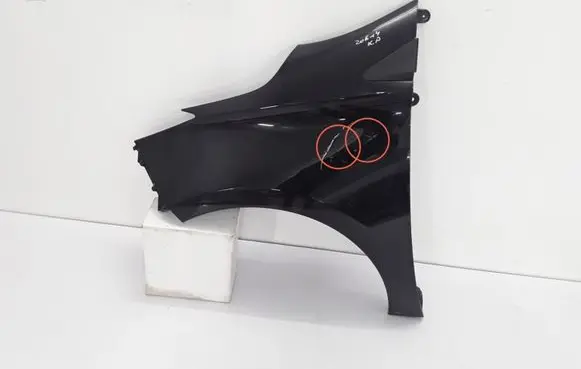 Renault Zoe Fender 631018491R