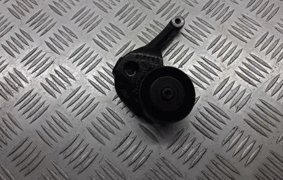Citroen C3 Alternator belt tensioner pulley 